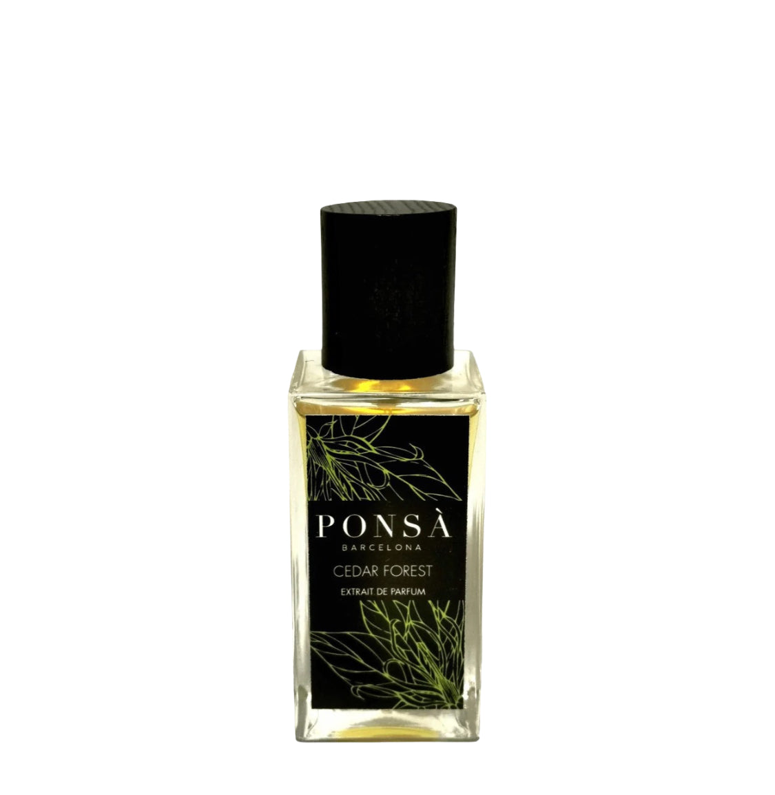 Perfume Cedar Forest de Alejandro Ponsa