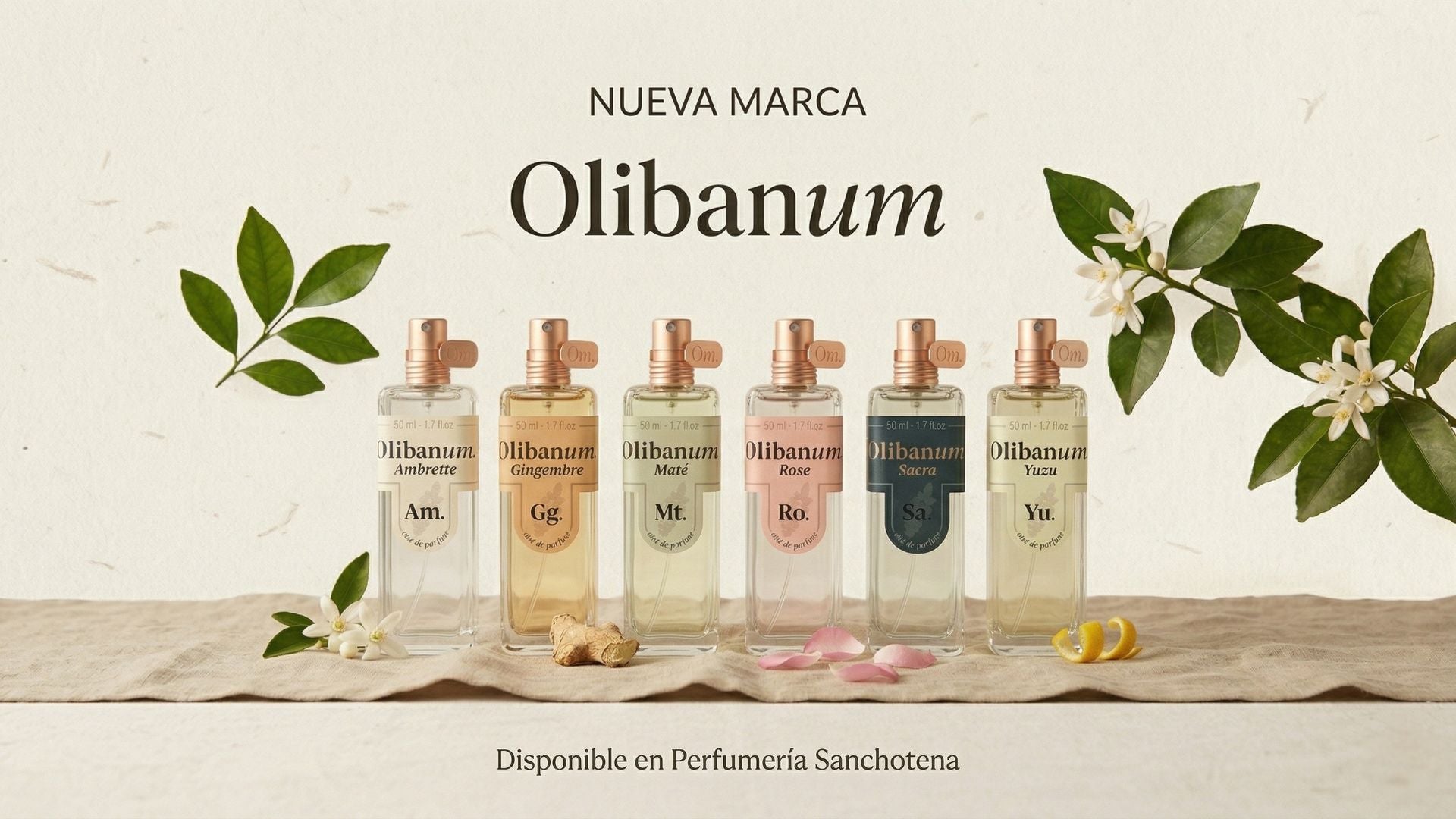 Colección de perfumes Olibanum disponible en Perfumería Sanchotena, fragancias de autor con ingredientes naturales como yuzu, rosa, mate y jengibre
