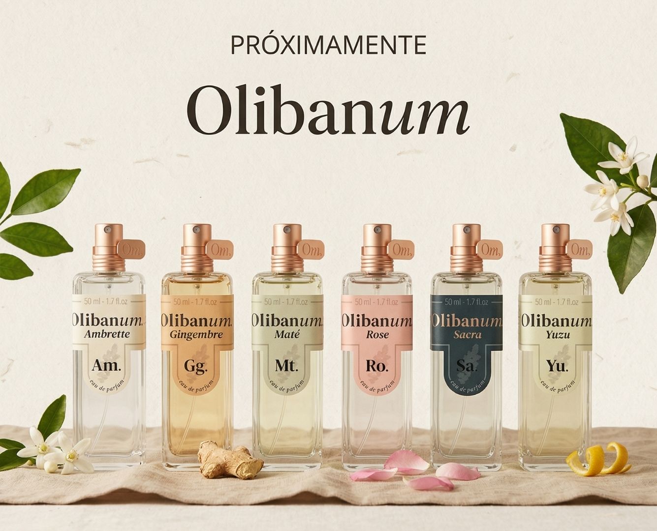 Colección de perfumes Olibanum Ambrette, Gingembre, Maté, Rose, Sacra y Yuzu disponible próximamente en Perfumería Sanchotena